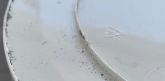 skup polipropylenu (PP)