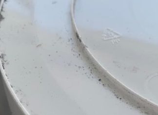 skup polipropylenu (PP)