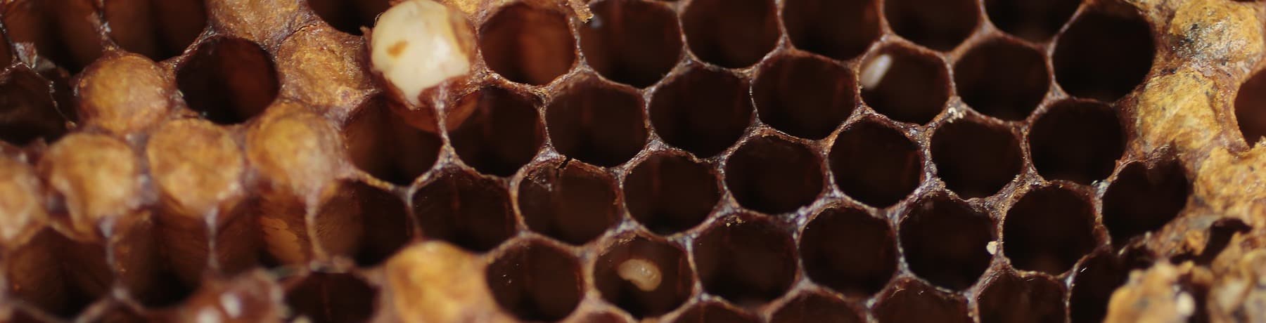 stoen operator promuje_skup_tworzyw_sztucznych_przemialy_granulaty_odpady_recykling