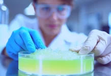 Bioplastiki vs tradycyjny plastik – co jest lepsze dla środowiska?